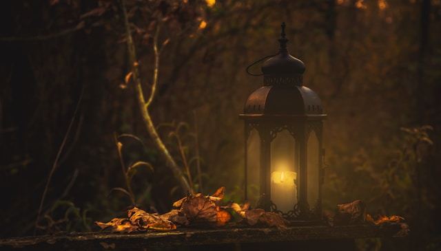 City Lights, Quiet Rooms cover